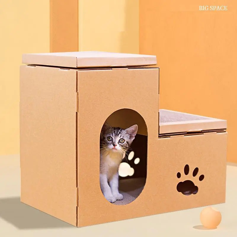 Kat kijkt uit de opening van het kartonnen kattenhuis