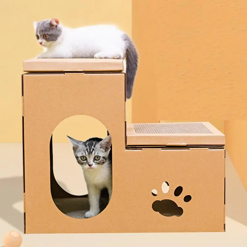 Kat bovenop en een kat in het kartonnen kattenhuis