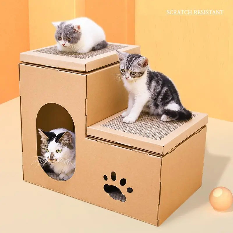 Katten op de verschillende niveaus van het kartonnen kattenhuis