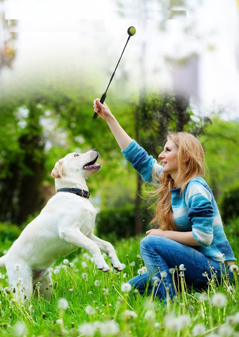 Vrouw gooit een bal met de werpstok naar een witte hond