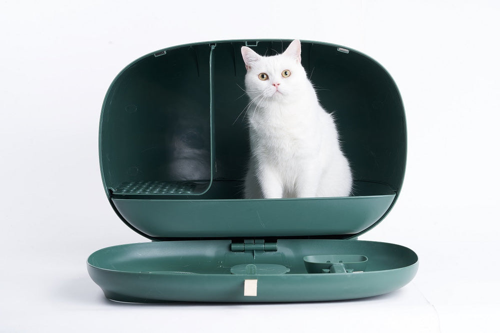Geopende groene kattenbak met een witte kat erin