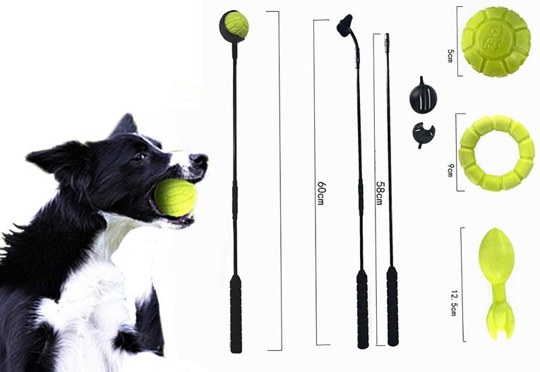 Border collie met bal naast de werpstok en opzetstukken