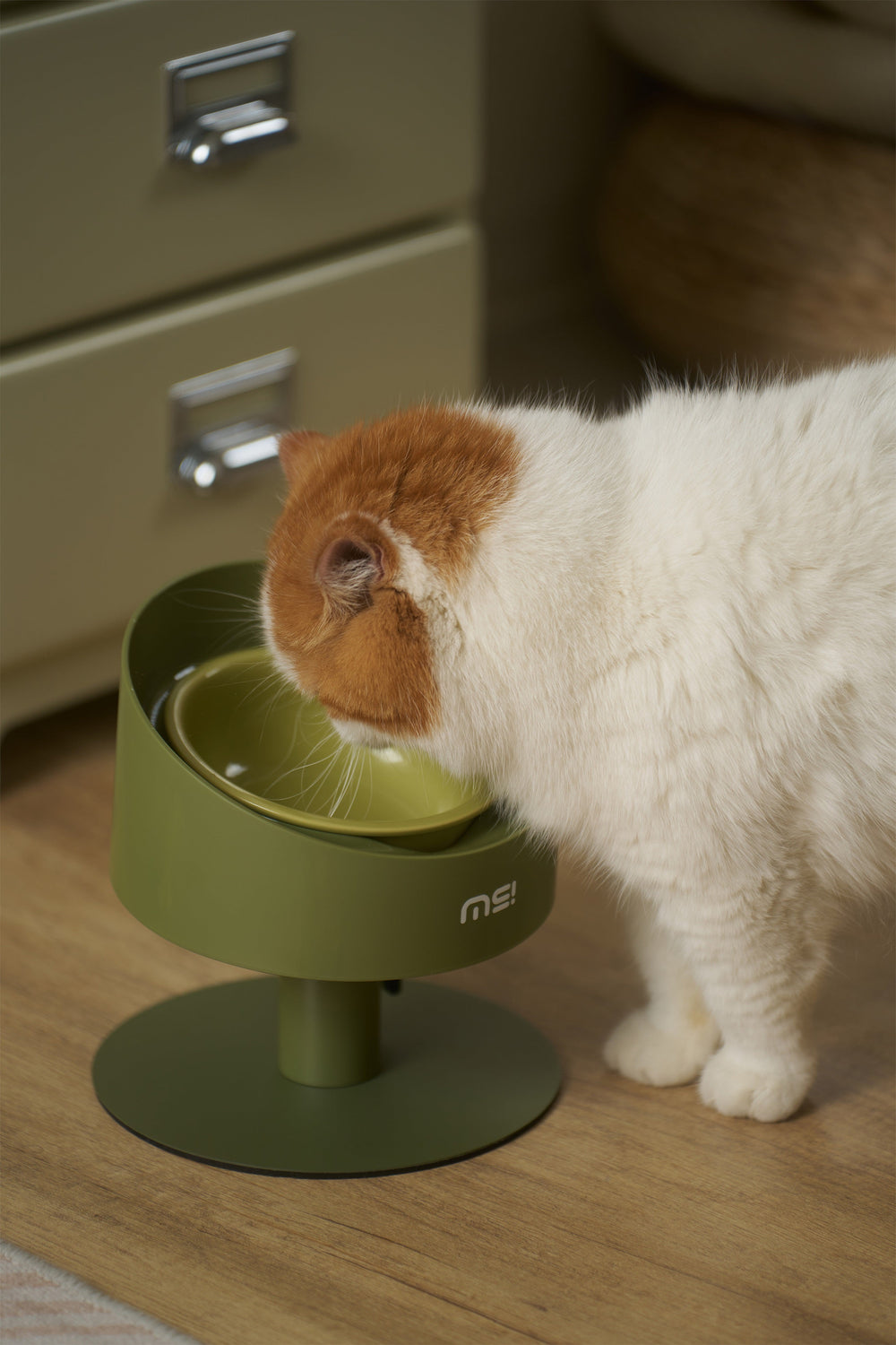 Kat eet uit de ComfortFeed voerbak