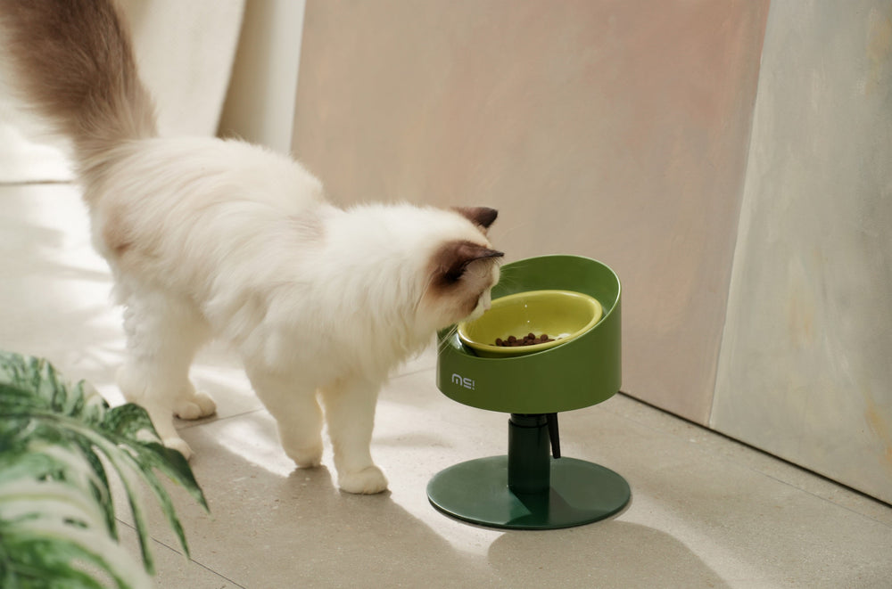 Langharige kat bij de ComfortFeed