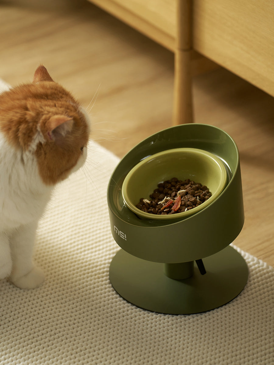 Kat bij de ComfortFeed met brokjes