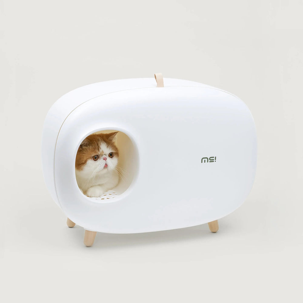 Kat kijkt uit de witte MakeSure kattenbak