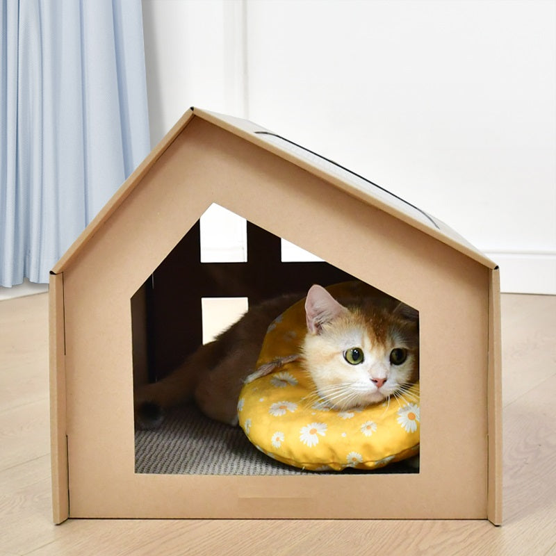 Kat met kussen in het kartonnen kattenhuisje