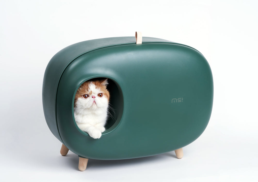 Kat kijkt uit de groene gesloten kattenbak