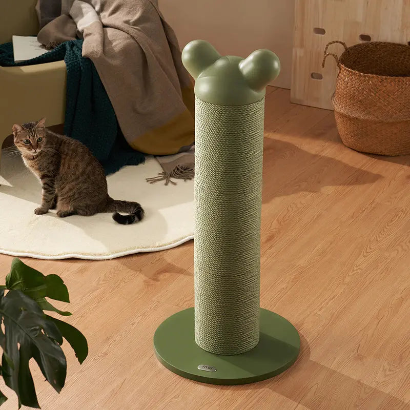 Kat zit naast de groene verstelbare krabpaal