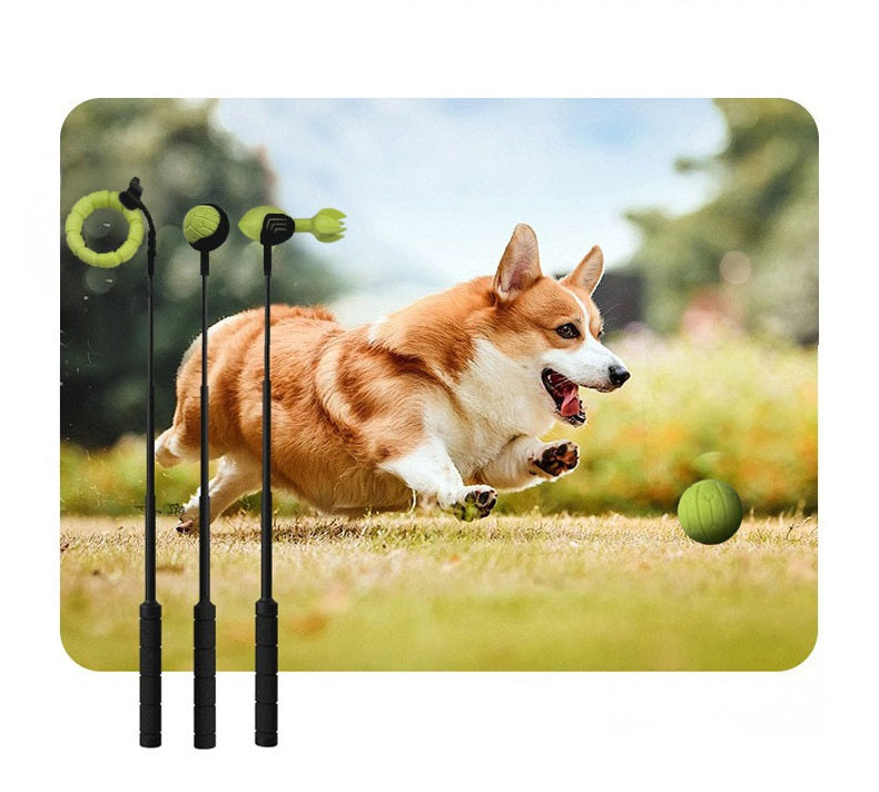 Corgi rent achter een bal van de werpstok aan