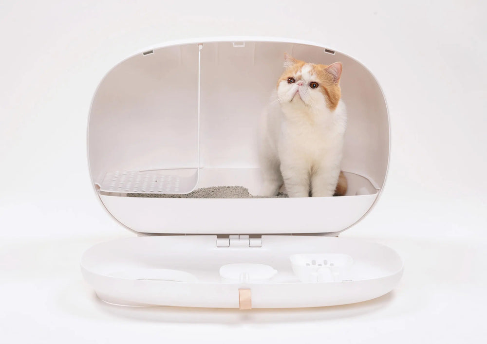 Geopende witte kattenbak met een kat erin