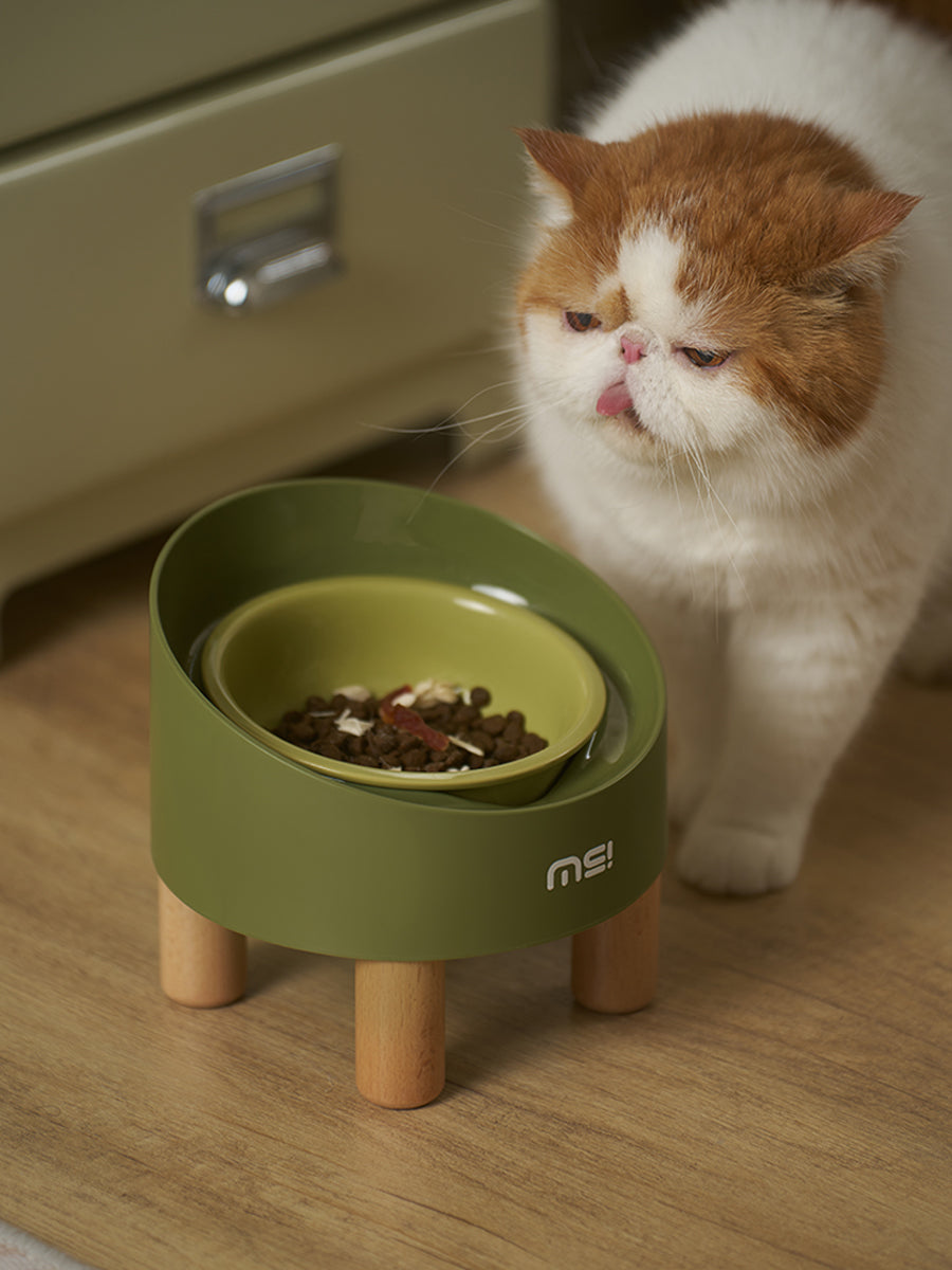 Kat bij de Rolls voerbak met brokjes