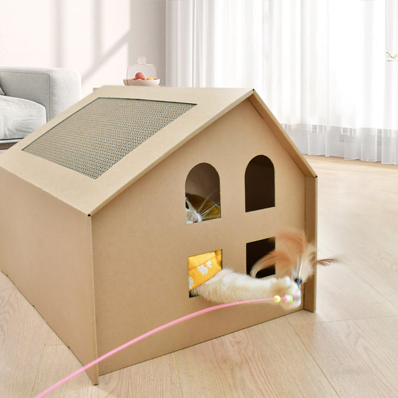 Kat speelt in het kattenhuisje met ramen