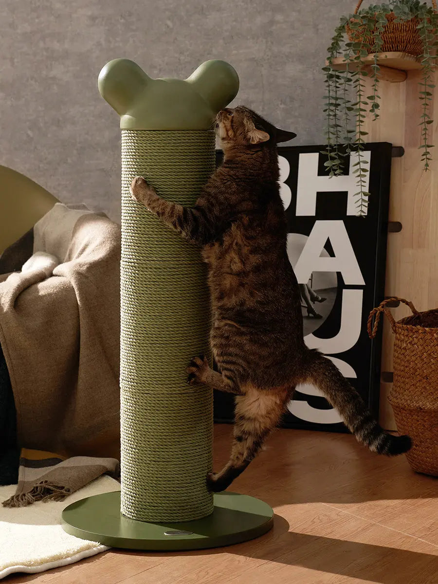 Kat klimt in de groene verstelbare krabpaal