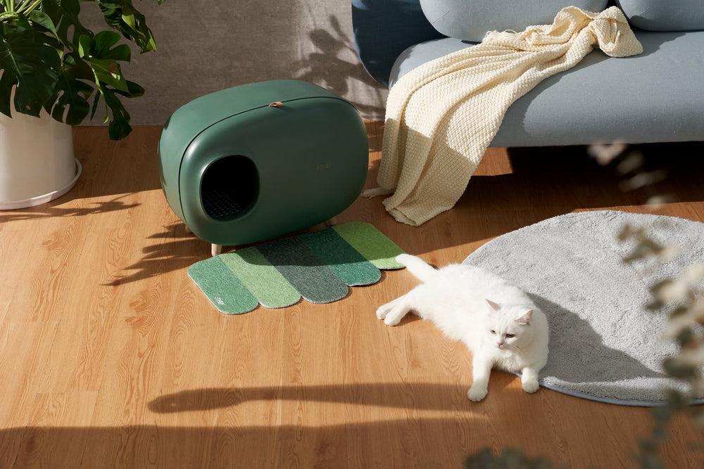 Groene kattenbak met kattenbakmatjes en een kat op de vloer