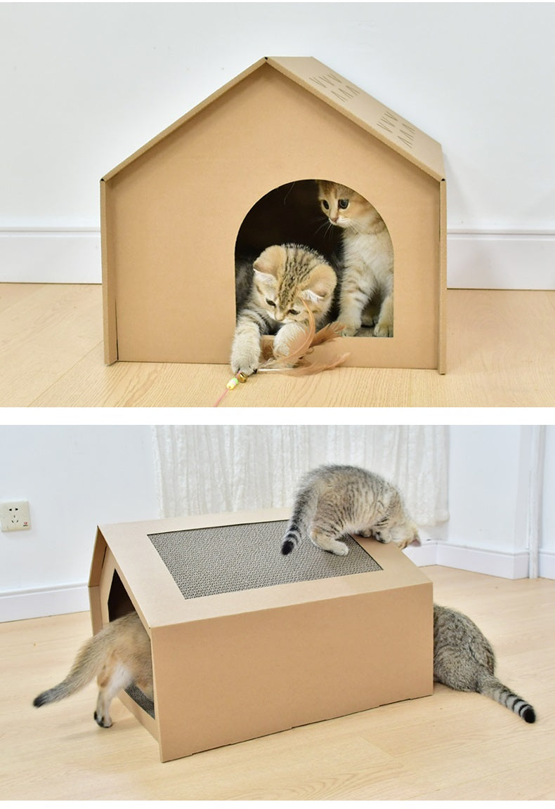 Kittens spelen in en op het kartonnen kattenhuisje