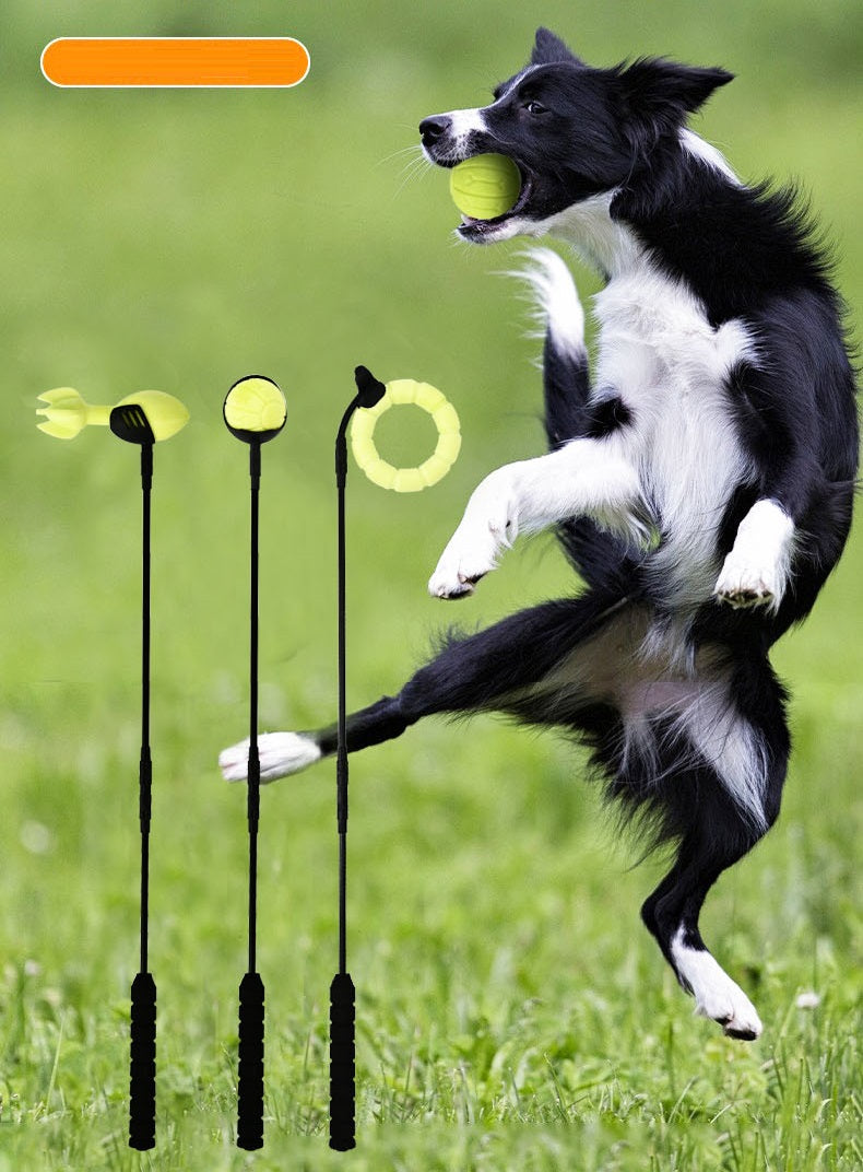 Border collie springt naar een bal bij de werpstokken