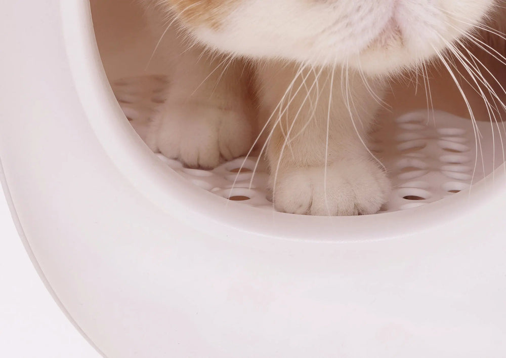 Pootjes van een kat op het rooster bij de ingang