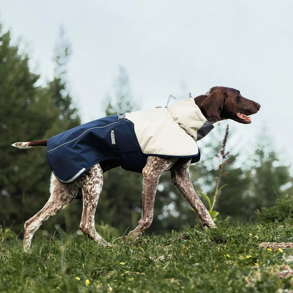 Staande hond draagt de waterdichte hondenjas buiten