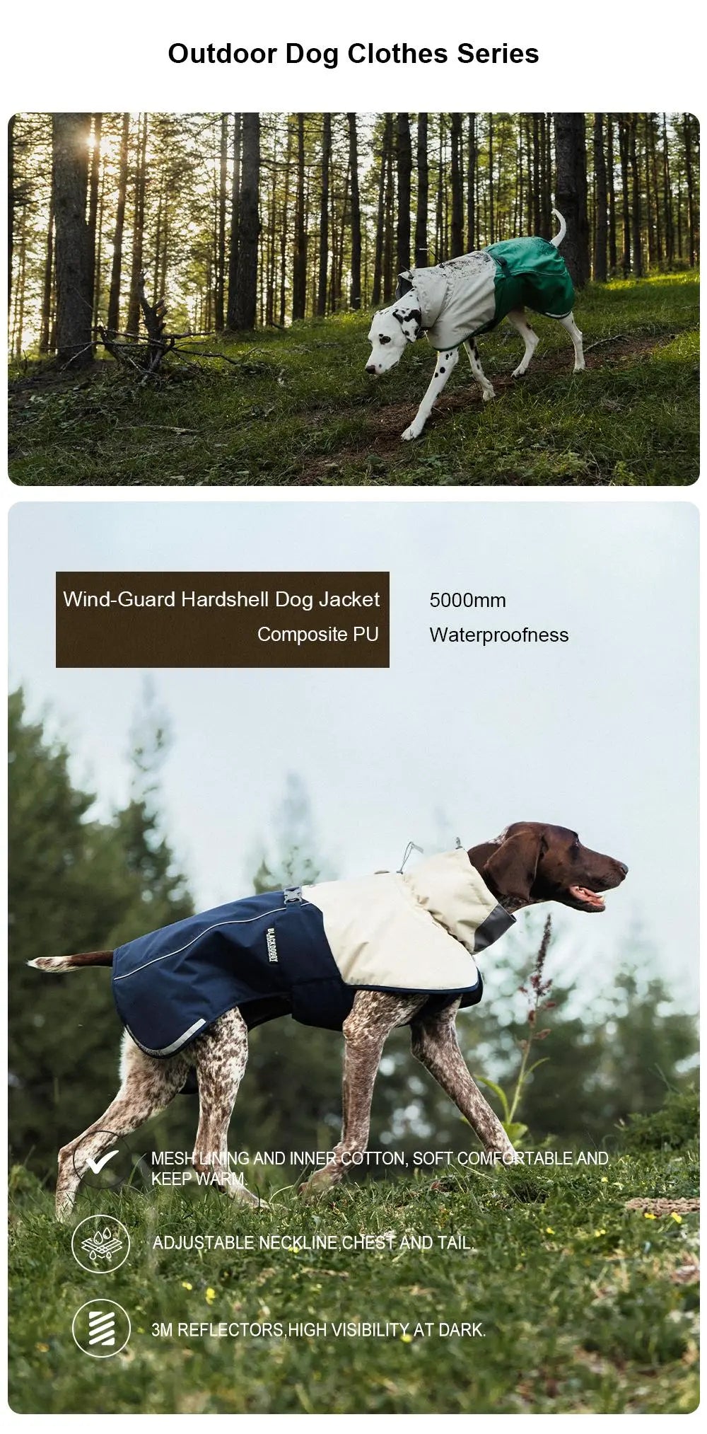 Overzicht van de BlackDoggie-hondenjas in het bos