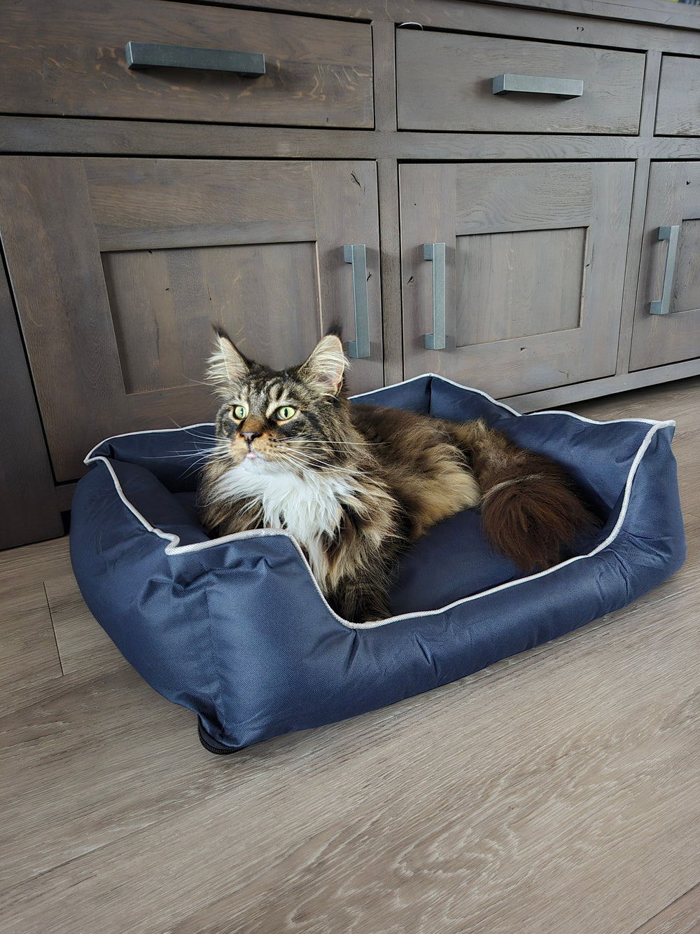 Langharige kat zit in de BASTIAAN-hondenmand oxford