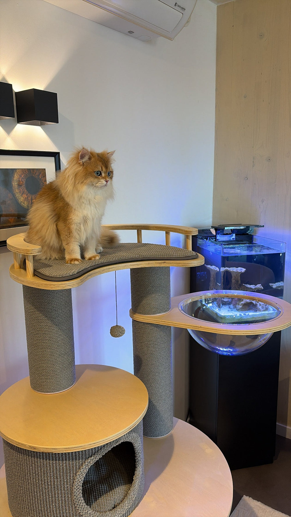 Langharige kat op een krabpaal met houten plateaus en doorzichtige loungeschaal