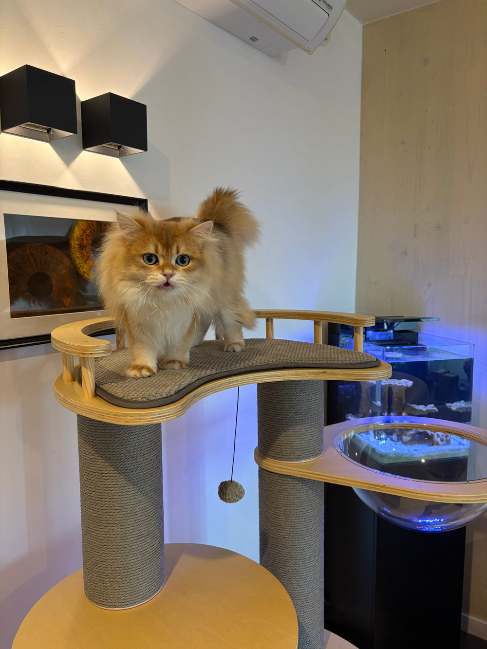 Langharige kat staat bovenop een krabpaal met houten plateaus