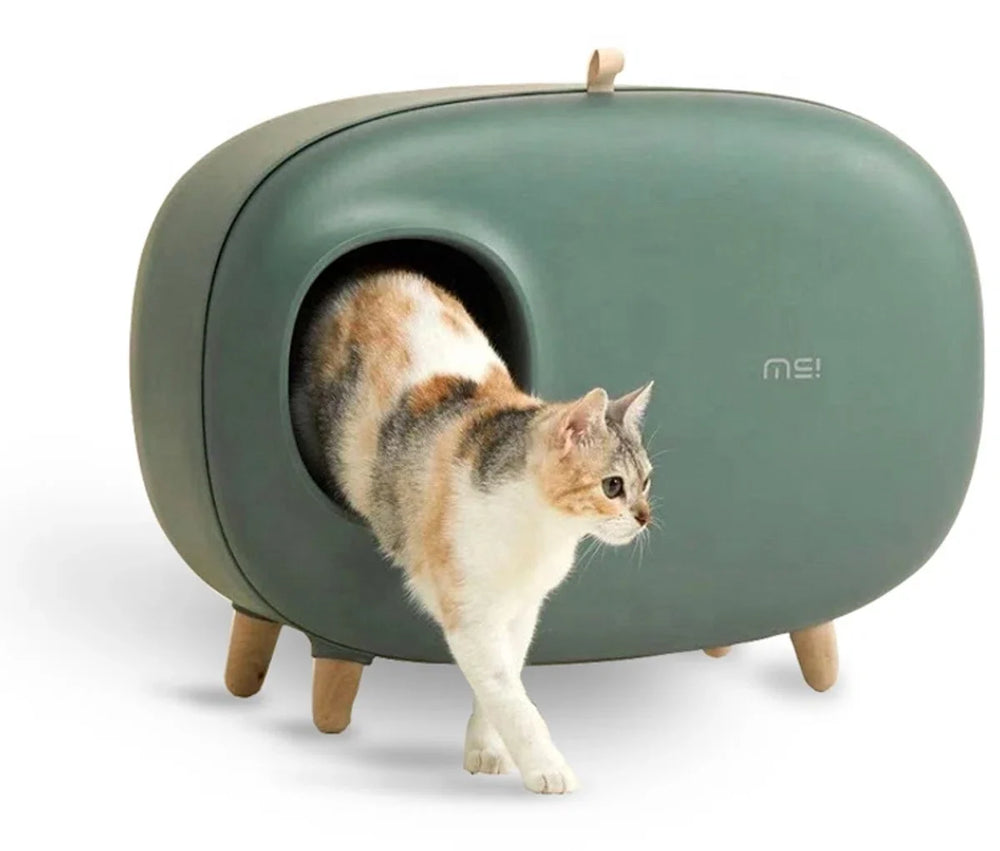 Kat stapt uit de groene MakeSure design kattenbak