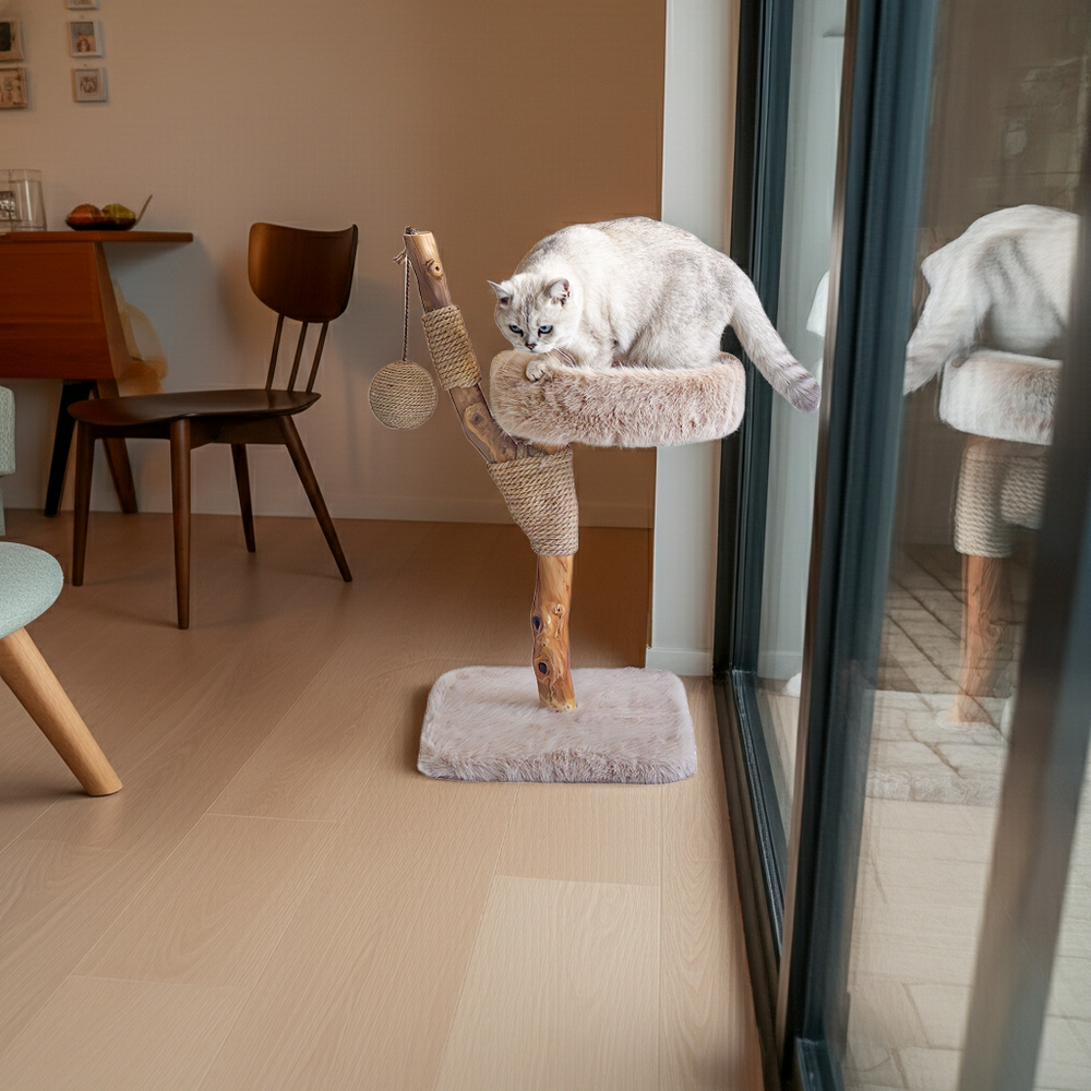 Witte kat op de LUNA krabpaal in de woonkamer