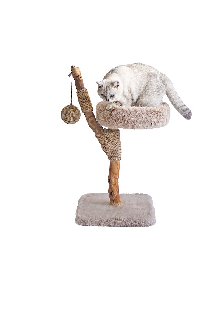Witte kat in de mand van de LUNA krabpaal
