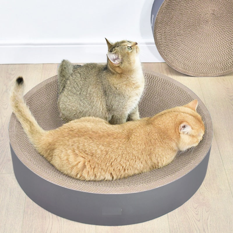Twee katten in de ronde kattenmand met krabplank