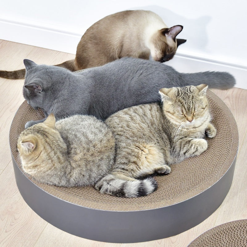 Vier katten liggen samen in de kartonnen kattenmand met krabplank