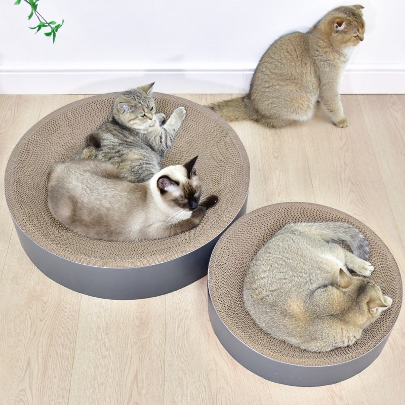 Katten liggen in twee ronde kattenmanden met krabplank