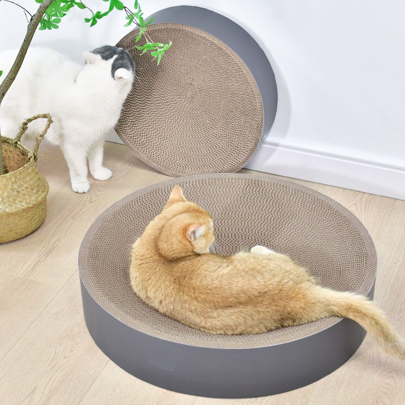 Rode kat ligt in de kattenmand met krabplank, witte kat op de achtergrond