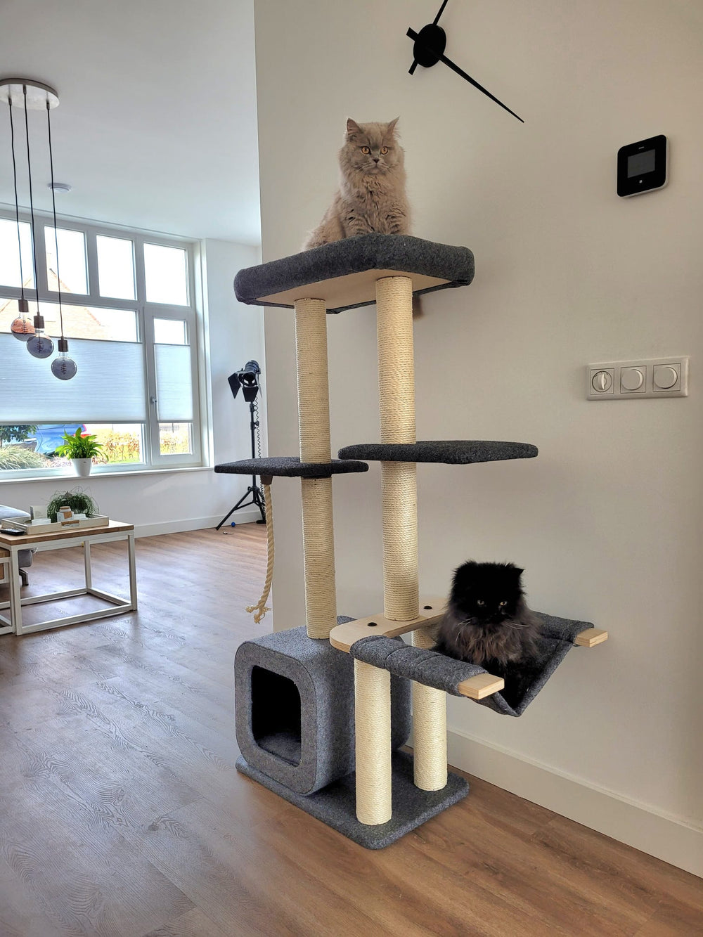 Krabpaal Candy in een woonkamer met katten op verschillende niveaus