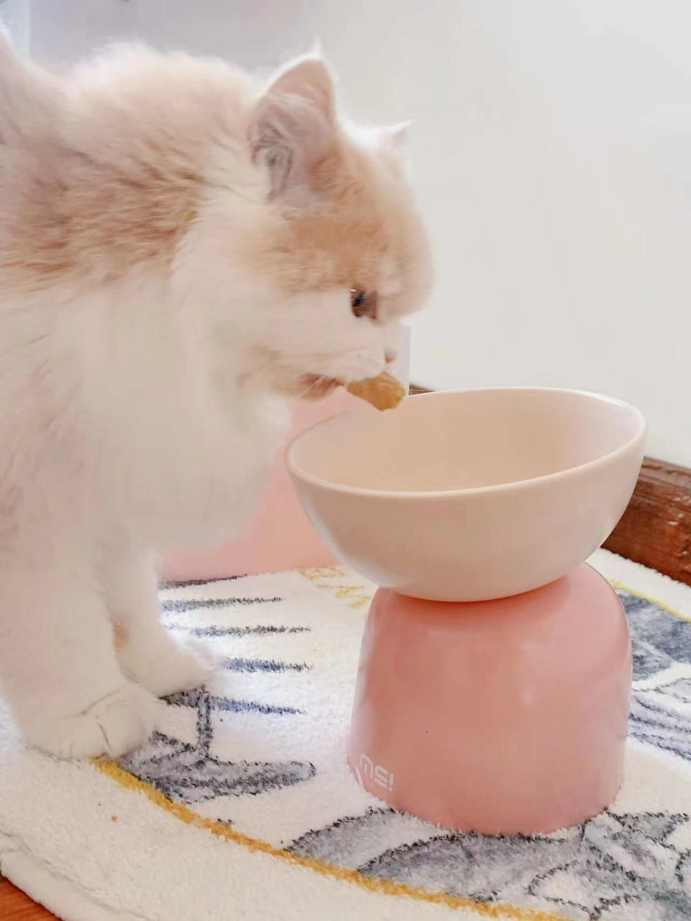 Kitten eet uit de roze verhoogde voerbak