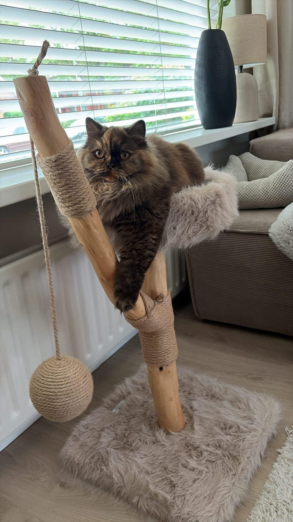 Langharige kat ligt in de mand van de LUNA krabpaal
