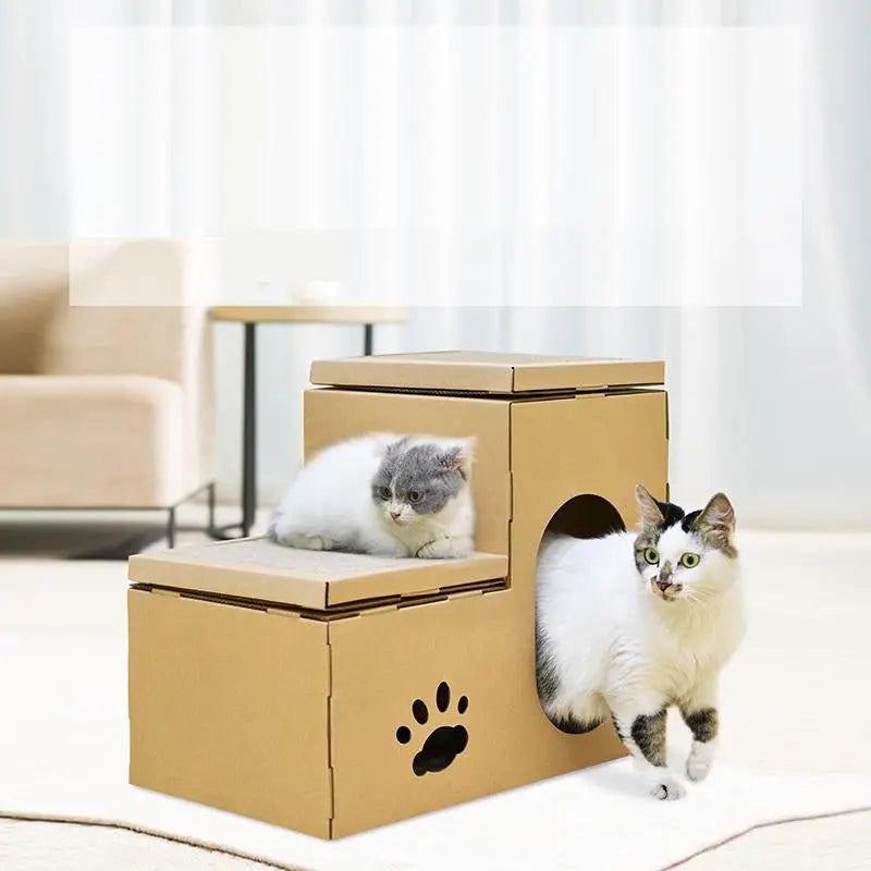 Katten liggen op en staan bij het kartonnen kattenhuis