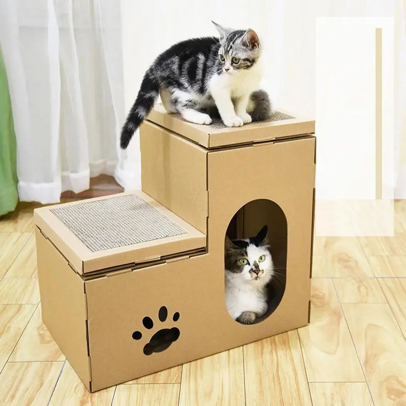 Twee katten spelen op en in het kartonnen kattenhuis