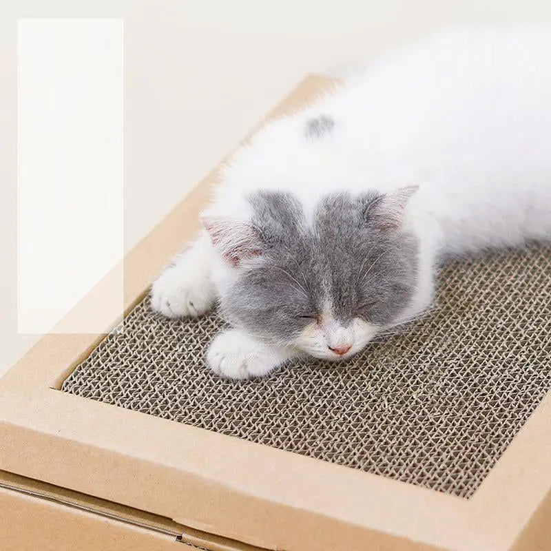Kat ligt op de krabplank van het kattenhuis