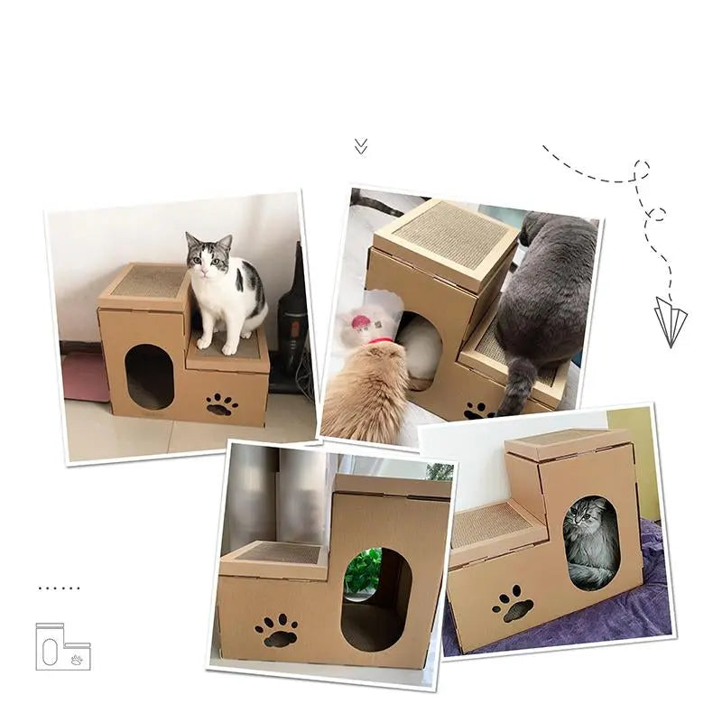 Collage van katten in het kartonnen kattenhuis