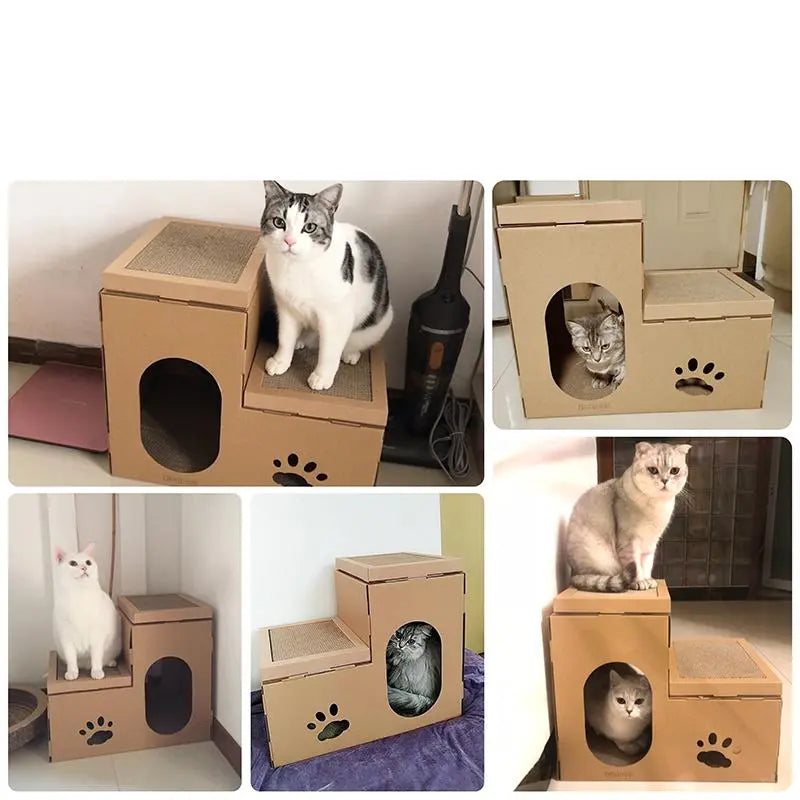 Klantfoto's van katten bij het kartonnen kattenhuis