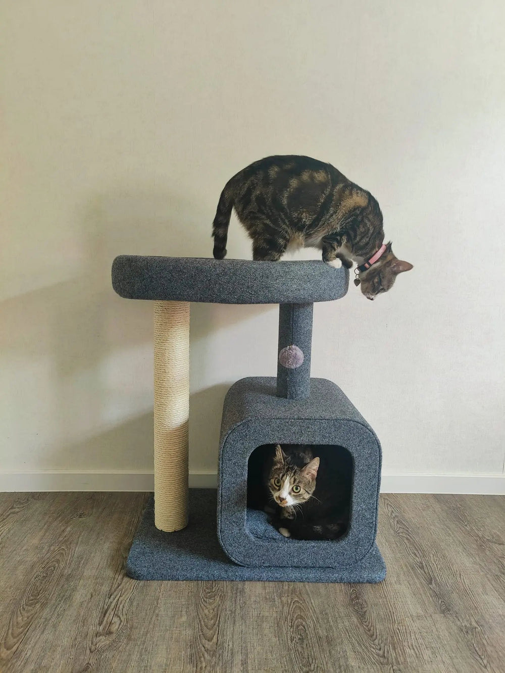 Kat bovenop de MILO krabpaal en een kat in het huisje