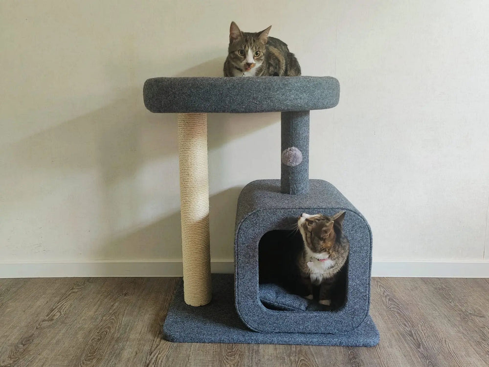 Twee katten op en in de MILO krabpaal