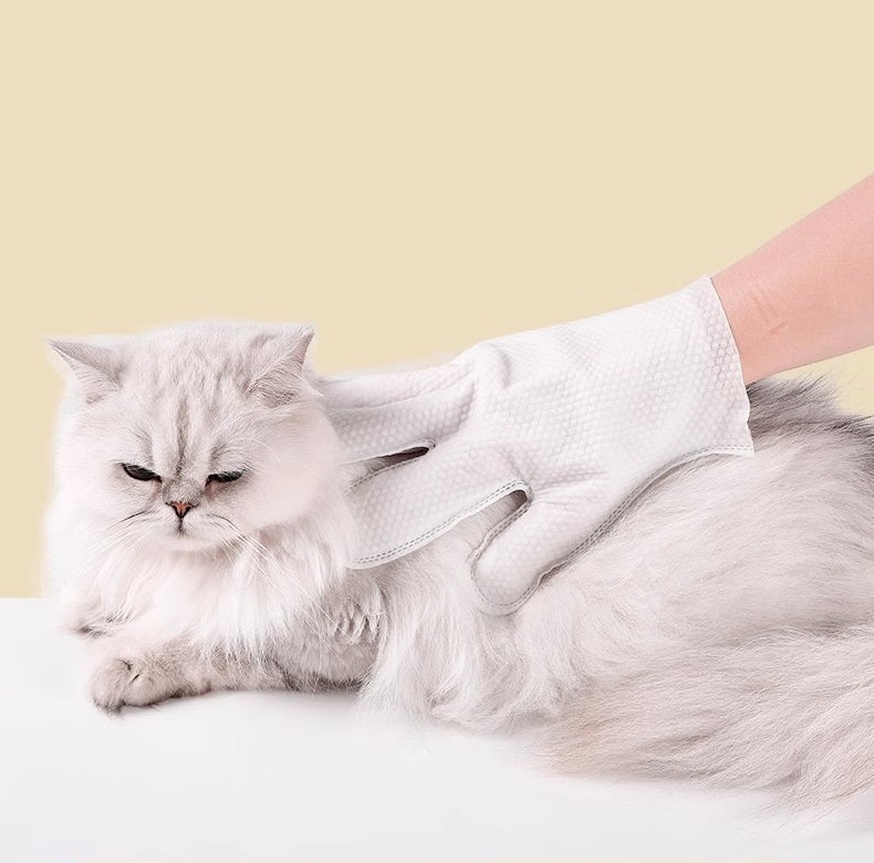 Witte langharige kat wordt schoongemaakt met de verzorgingshandschoen